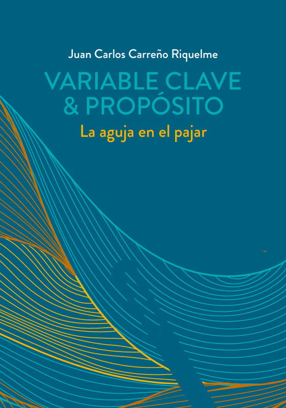 Variable Clave & Propósito, la aguja en el pajar